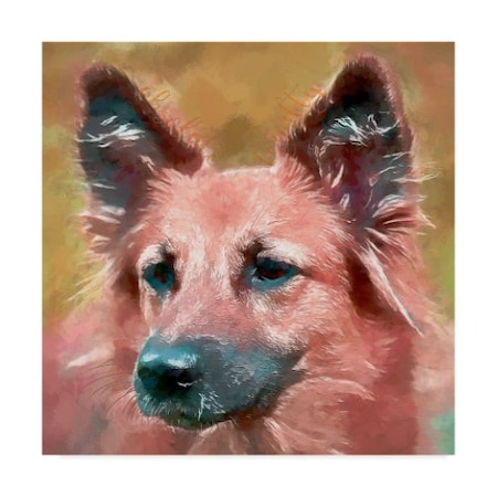 Trademark Fine Art Cora Niele 'Absolute Loyalty' Canvas Art, 18x18 ALI41796-C1818GG